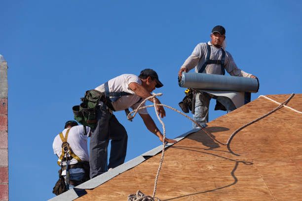 Sealant for Roof in South Jacksonville, IL