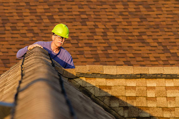 Best Roof Maintenance Services  in South Jacksonvle, IL
