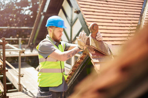 Best Roof Restoration Services  in South Jacksonvle, IL